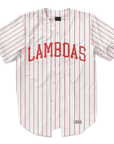 Lambda Phi Epsilon - Red Pinstripe Baseball Jersey