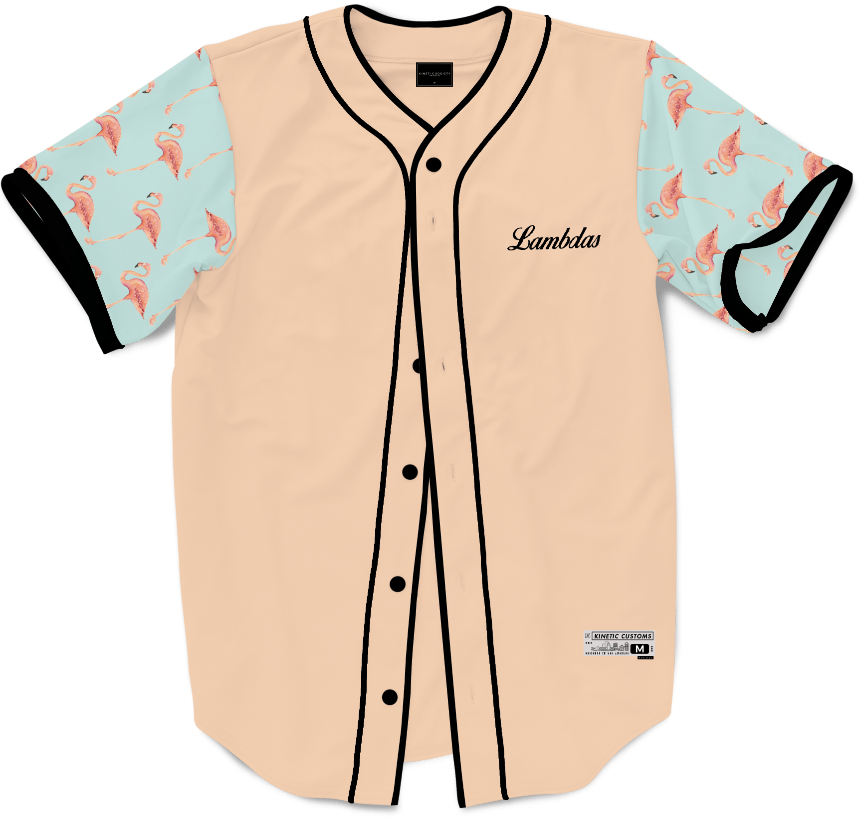 Lambda Phi Epsilon - Flamingo Fam Baseball Jersey - Kinetic Society